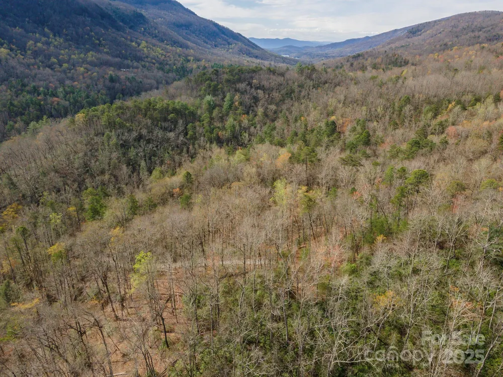 99999 Trillium Lane #7 Lake Lure, NC 28746