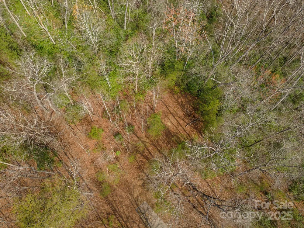 99999 Trillium Lane #7 Lake Lure, NC 28746