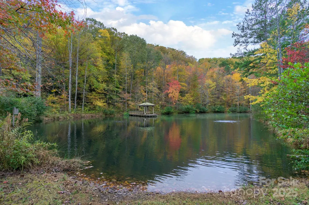99999 Trillium Lane #7 Lake Lure, NC 28746