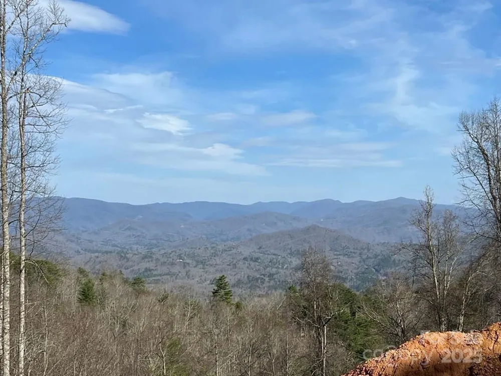 44 Bee Gum Ridge #44 Almond, NC 28702