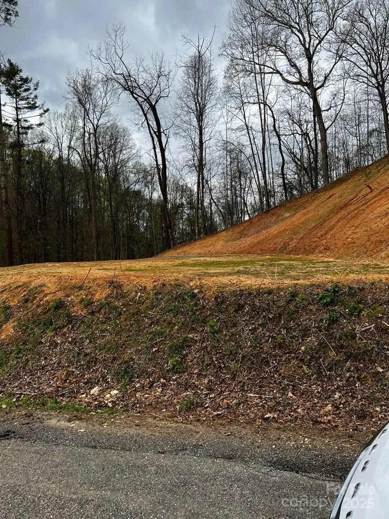 44 Bee Gum Ridge #44 Almond, NC 28702