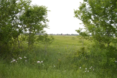 RS County Road 1520