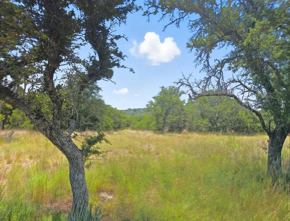 PR 42102 Evant, TX 76525