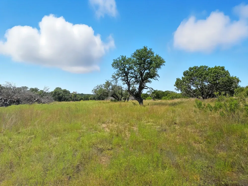 PR 42102 Evant, TX 76525