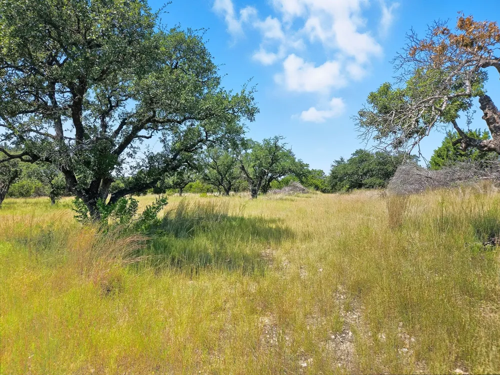 PR 42102 Evant, TX 76525