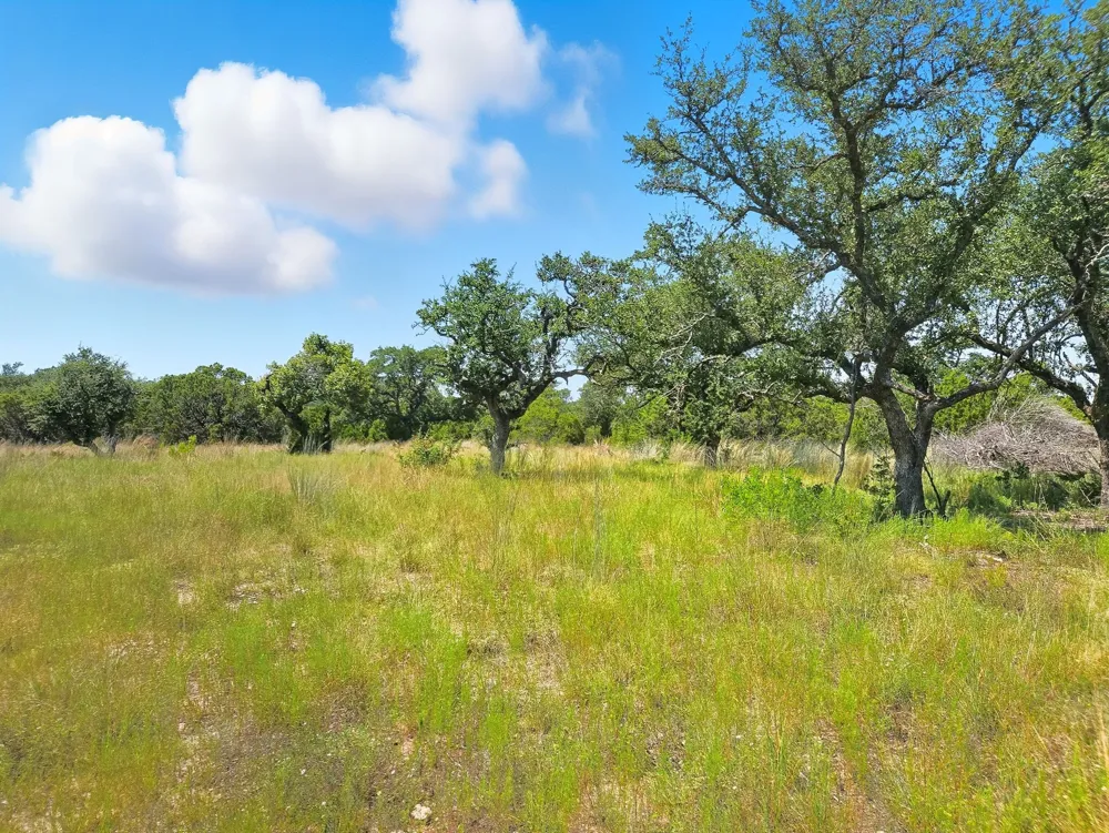PR 42102 Evant, TX 76525