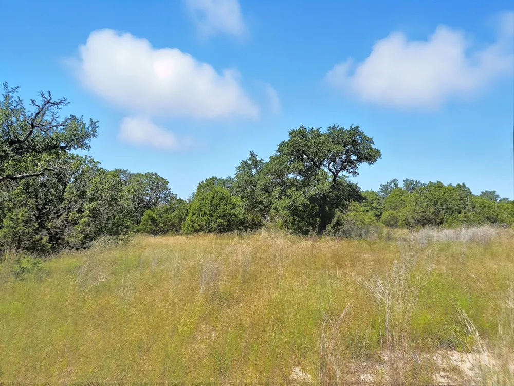 PR 42102 Evant, TX 76525