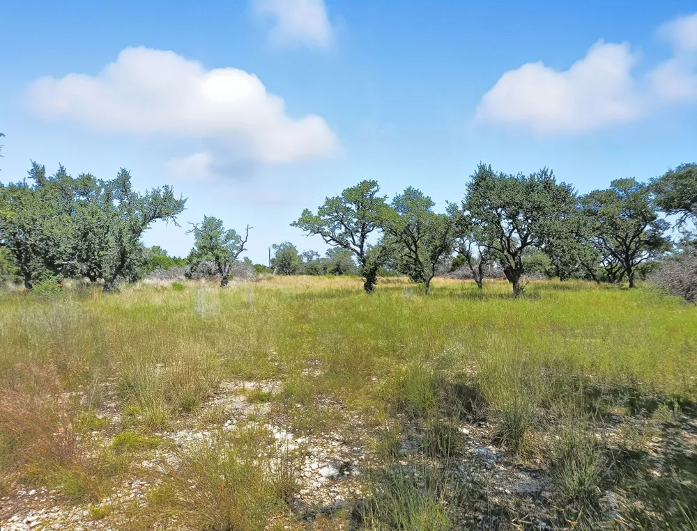 PR 42102 Evant, TX 76525