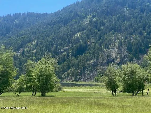 NNA 80 acres Blue Lake Rd Priest River, ID 83856