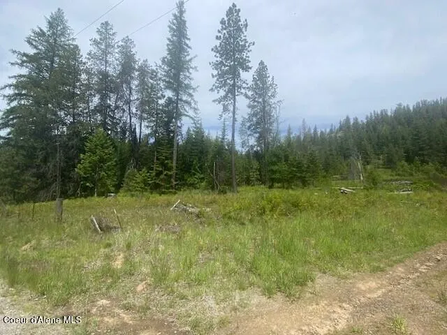 NNA 80 acres Blue Lake Rd Priest River, ID 83856