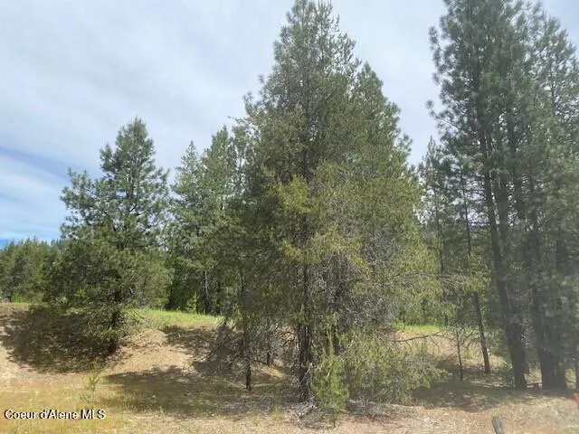 NNA 80 acres Blue Lake Rd Priest River, ID 83856