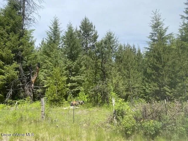 NNA 80 acres Blue Lake Rd Priest River, ID 83856