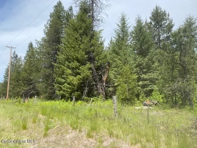 NNA 80 acres Blue Lake Rd Priest River, ID 83856