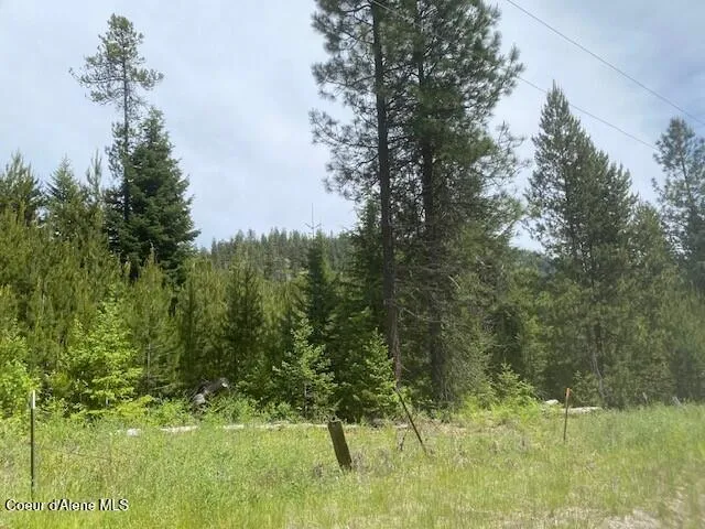 NNA 80 acres Blue Lake Rd Priest River, ID 83856
