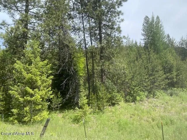 NNA 80 acres Blue Lake Rd Priest River, ID 83856