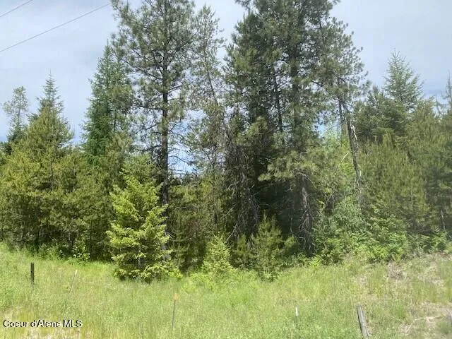 NNA 80 acres Blue Lake Rd Priest River, ID 83856