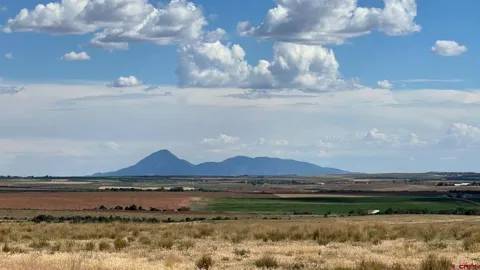 Road 14