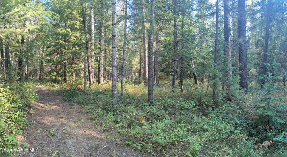 1555 E OHIO MATCH ROAD Rathdrum, ID 83858