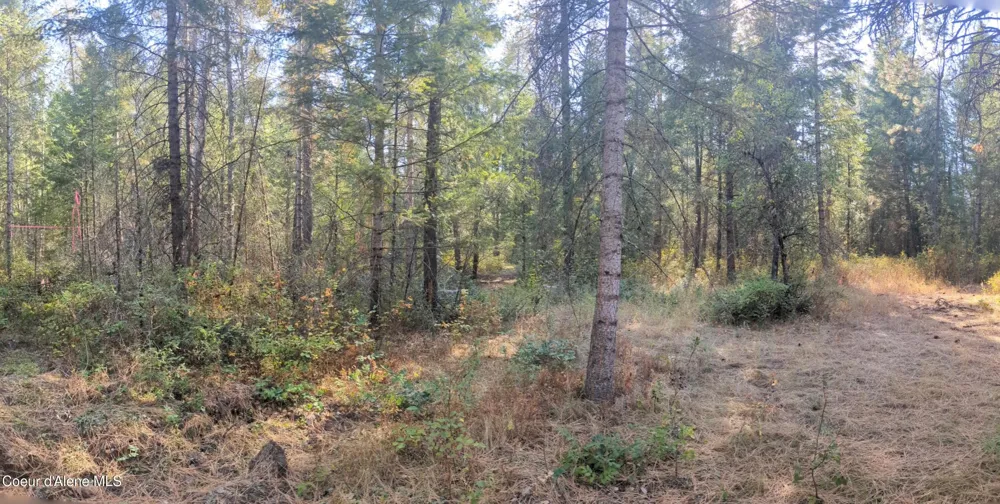 1555 E OHIO MATCH ROAD Rathdrum, ID 83858