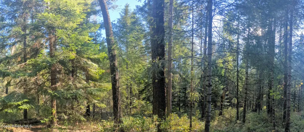 1555 E OHIO MATCH ROAD Rathdrum, ID 83858