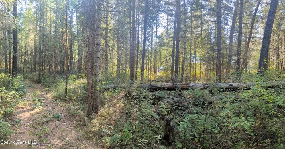 1555 E OHIO MATCH ROAD Rathdrum, ID 83858