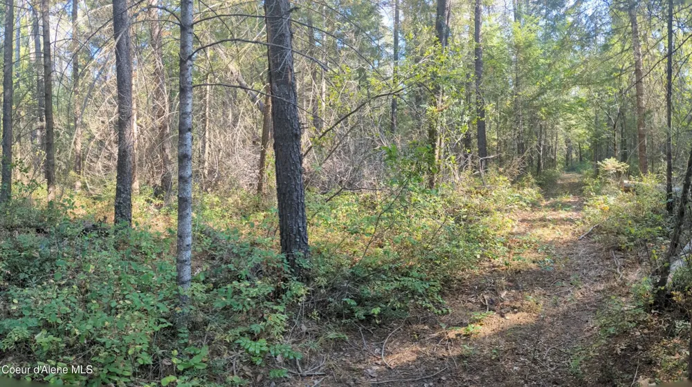 1555 E OHIO MATCH ROAD Rathdrum, ID 83858