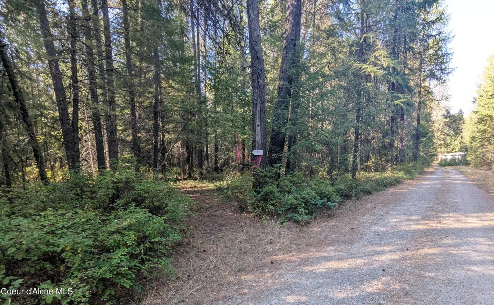 1555 E OHIO MATCH ROAD Rathdrum, ID 83858