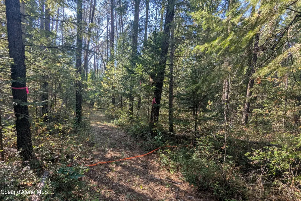 1555 E OHIO MATCH ROAD Rathdrum, ID 83858