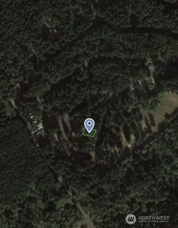 10608 Edgewood Drive Anderson Island, WA 98303