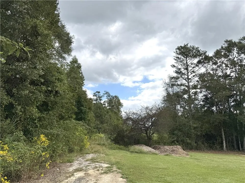 0 Magnolia Avenue Bowdon, GA 30108