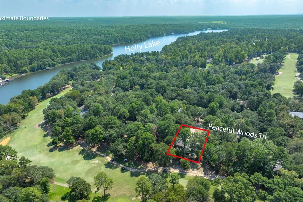 257 Peaceful Woods Trail Holly Lake Ranch, TX 75765