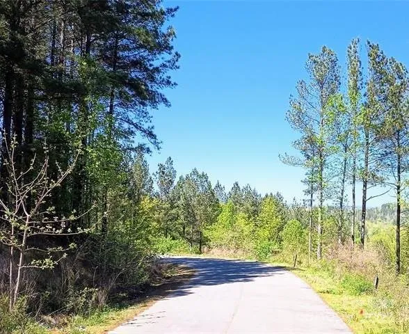 158 Table Rock Trace NW Valdese, NC 28690
