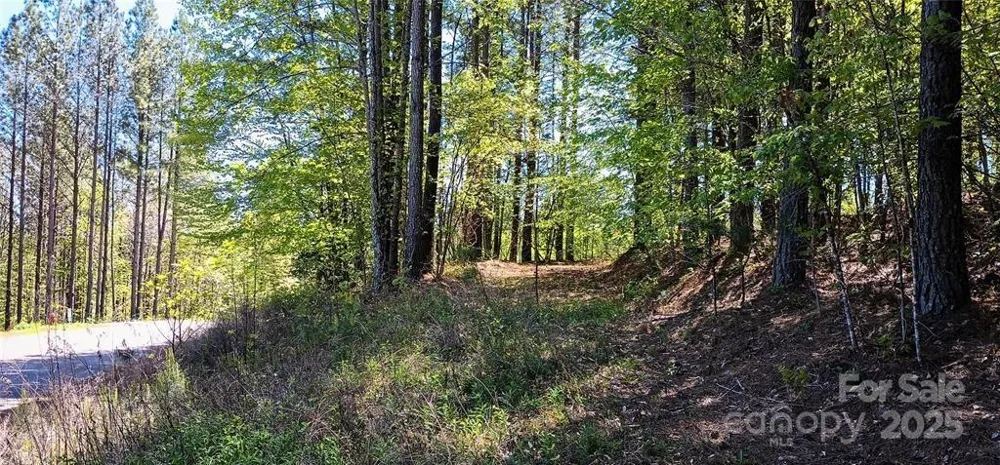 158 Table Rock Trace NW Valdese, NC 28690