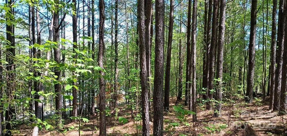 158 Table Rock Trace NW Valdese, NC 28690
