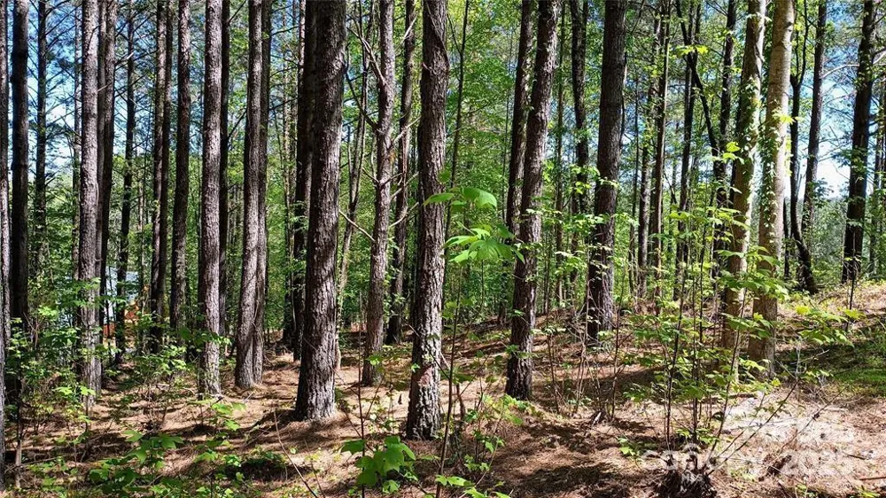 158 Table Rock Trace NW Valdese, NC 28690