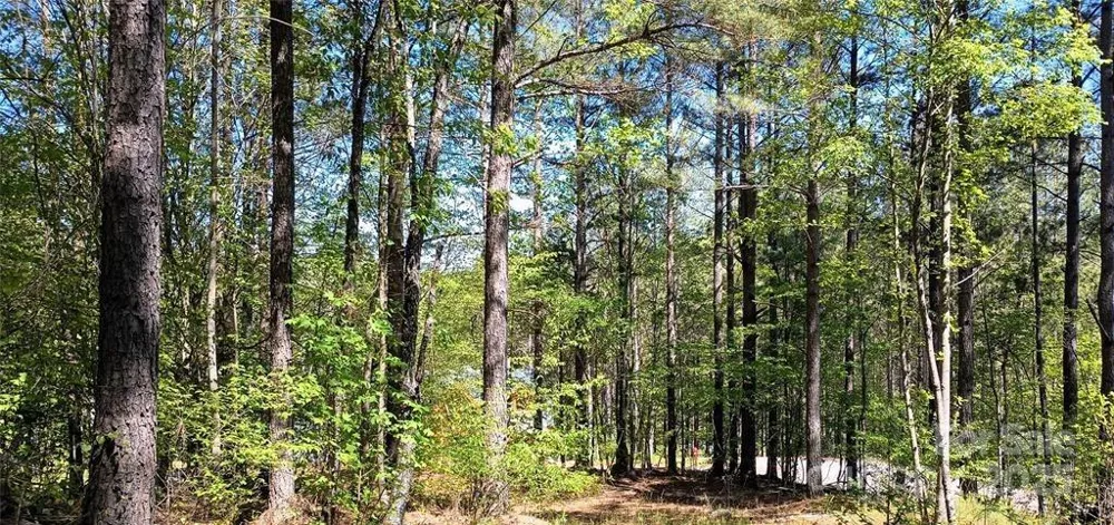 158 Table Rock Trace NW Valdese, NC 28690