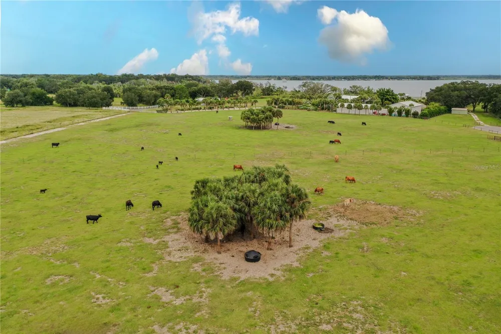 8010 LAKE LOWERY ROAD Haines City, FL 33844