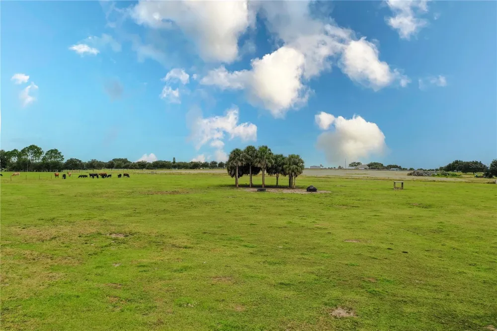 8010 LAKE LOWERY ROAD Haines City, FL 33844