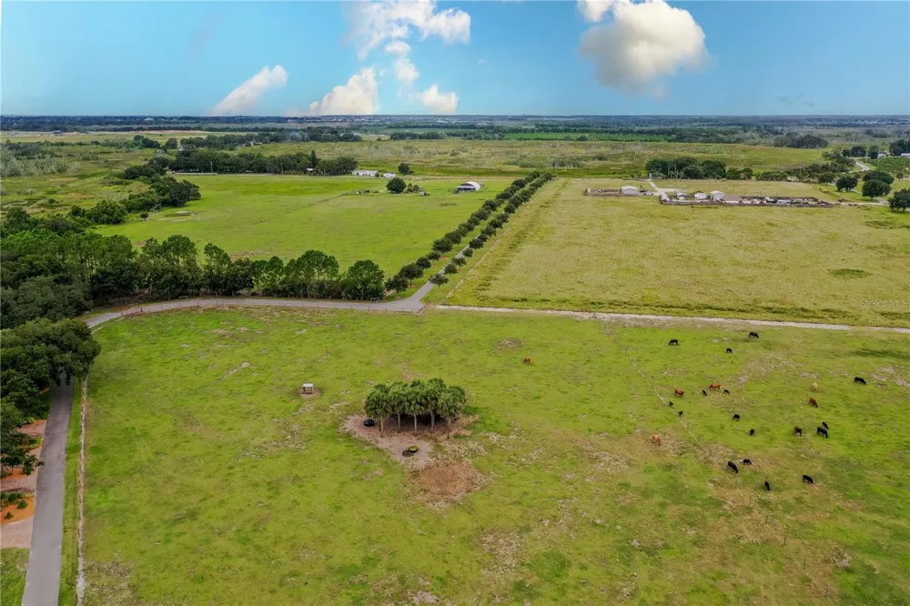 8010 LAKE LOWERY ROAD Haines City, FL 33844