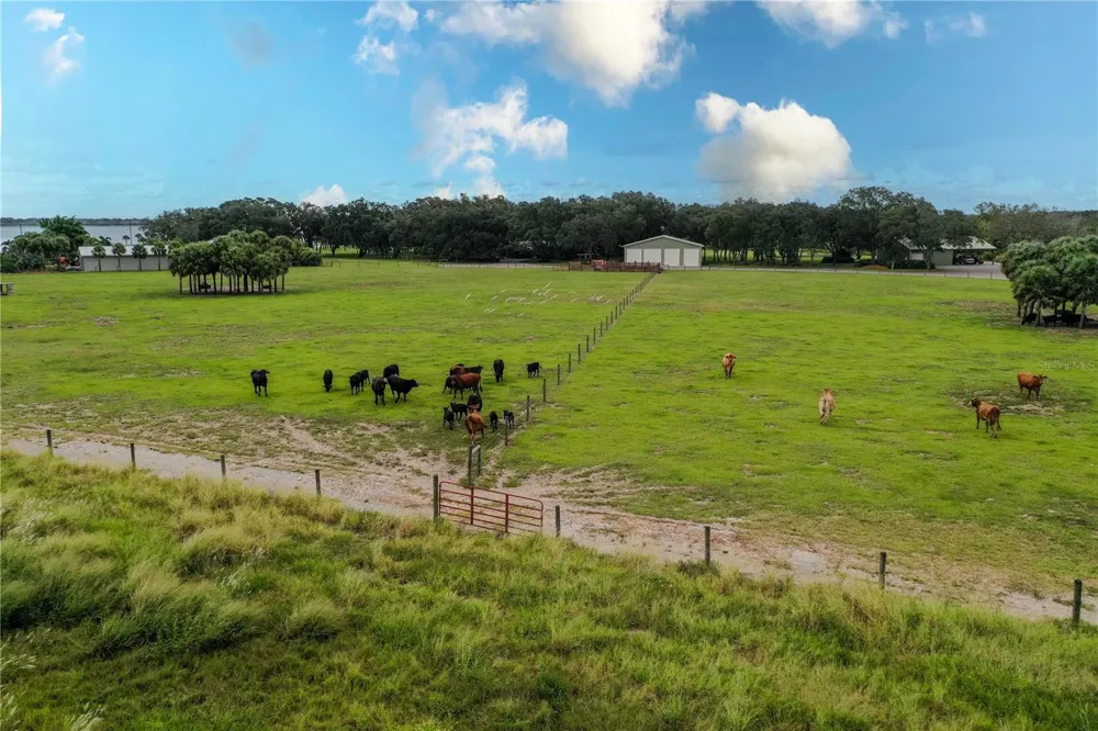 8010 LAKE LOWERY ROAD Haines City, FL 33844