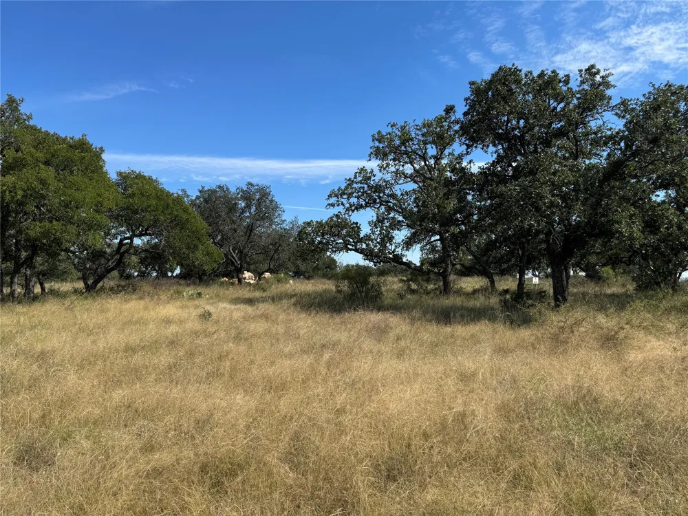 Buck Run San Saba, TX 76877