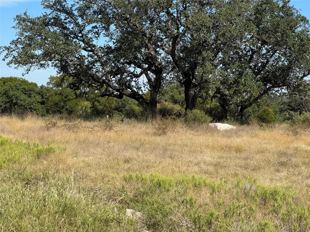 Buck Run San Saba, TX 76877