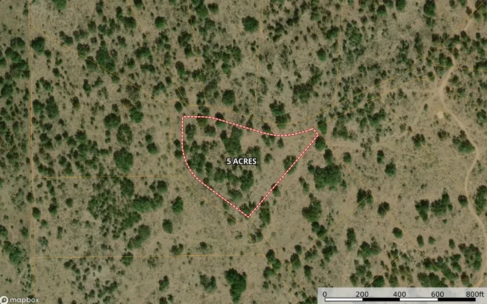 Buck Run San Saba, TX 76877