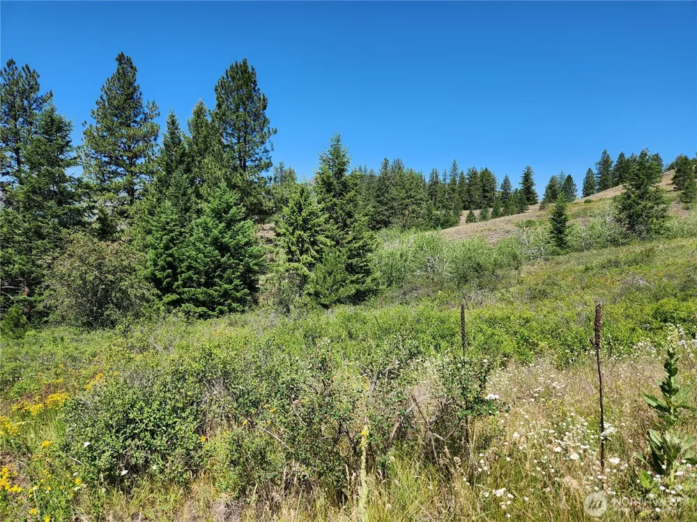 18 Robin Road Republic, WA 99166