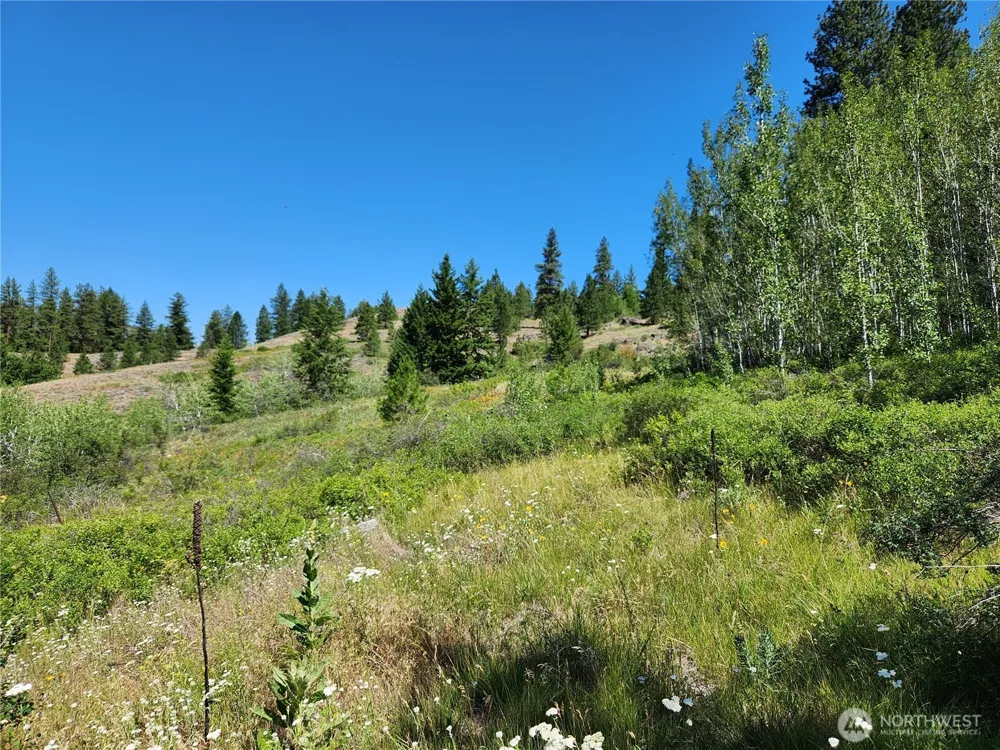 18 Robin Road Republic, WA 99166