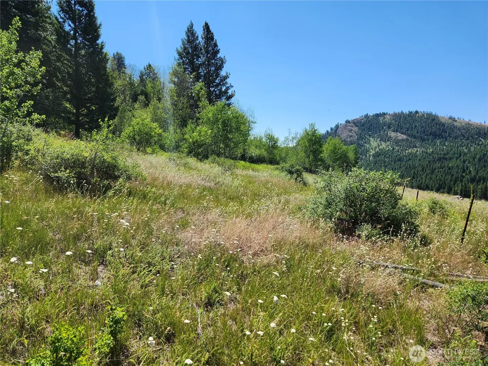18 Robin Road Republic, WA 99166