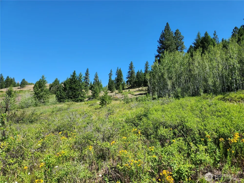 18 Robin Road Republic, WA 99166