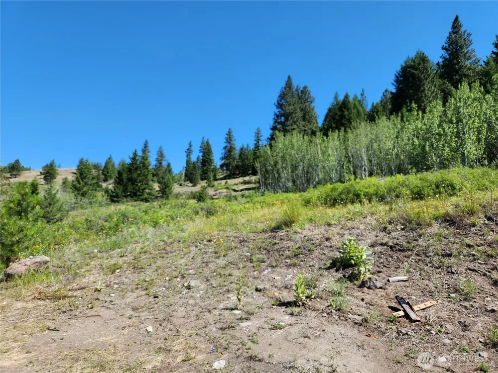 18 Robin Road Republic, WA 99166