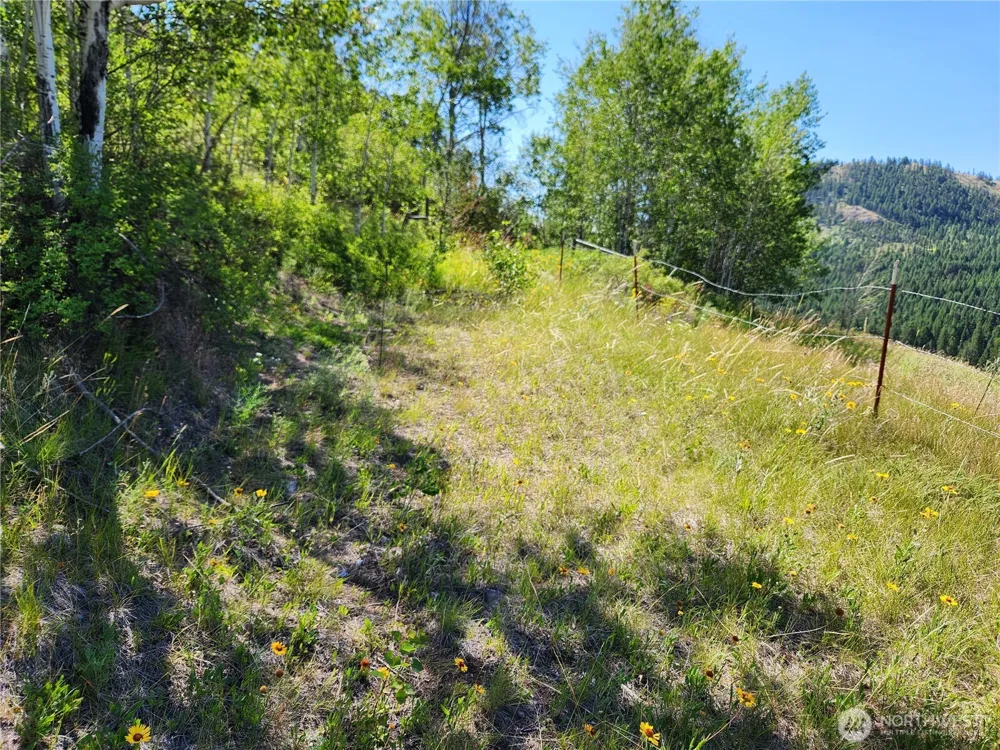18 Robin Road Republic, WA 99166