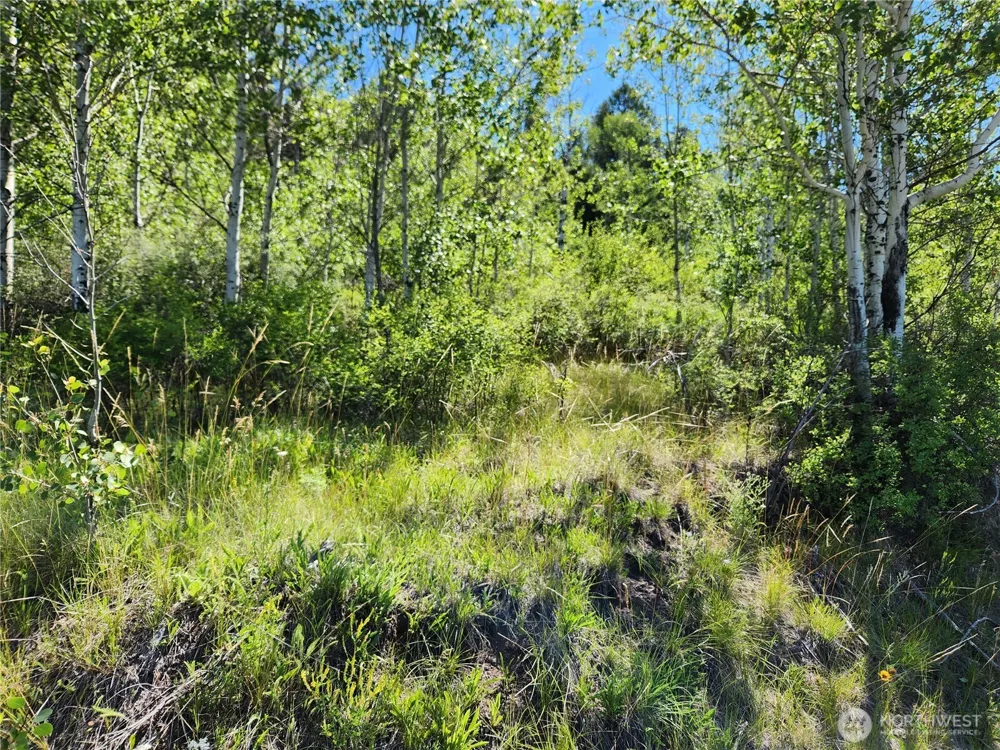 18 Robin Road Republic, WA 99166